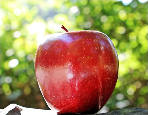 りんご効果にむくみの解消や体温上昇が？加熱したほうがいいの？量も3