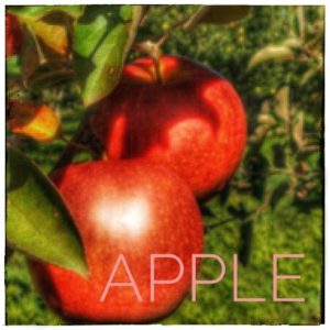 りんごを皮ごと食べるには切り方が重要？スター型なら栄養量も豊富！1