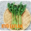 京ラフランって？京都大学で生まれた野菜！食べ方や旬、レシピも解説1